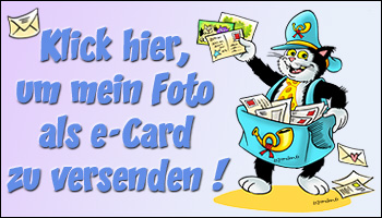 als postkarte verschicken